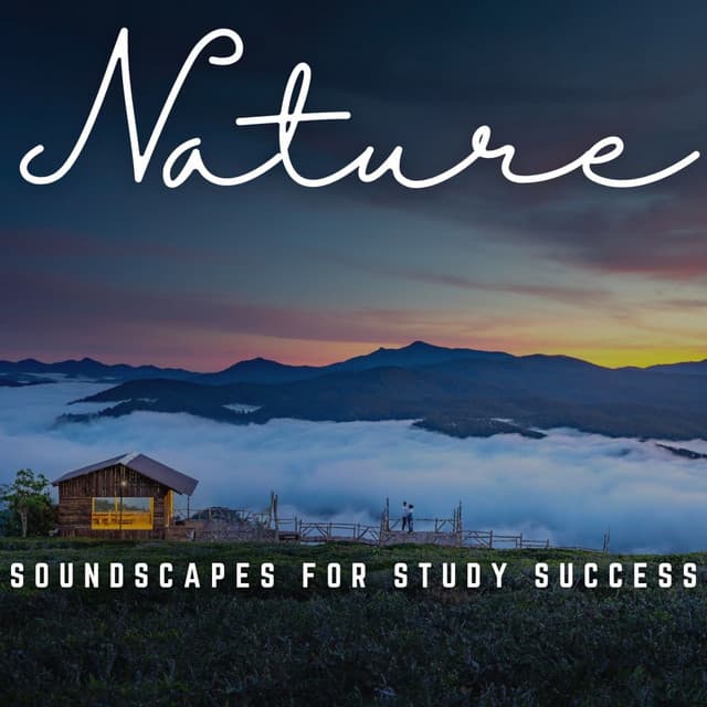 Academic Ambiance: Soundscapes for Study Success - 101 Noise