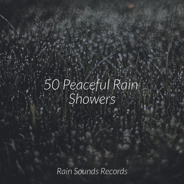 50 Peaceful Rain Showers - Spa & Spa