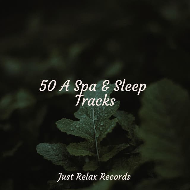 50 A Spa & Sleep Tracks - Baby Songs & Lullabies For Sleep