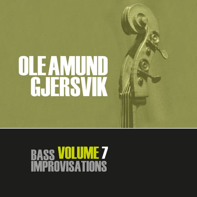 Bass Improvisations Volume 7 - Ole Amund Gjersvik