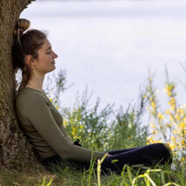 Meditation Music for Self Healing Journey - Music Comfort