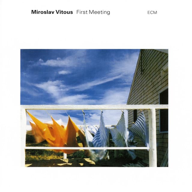 First Meeting - Miroslav Vitous