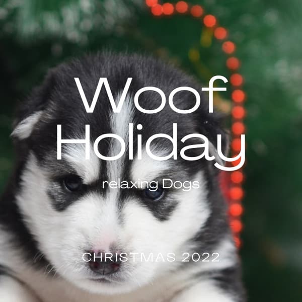 3 2 1 Woof Holiday - Chill My Pooch