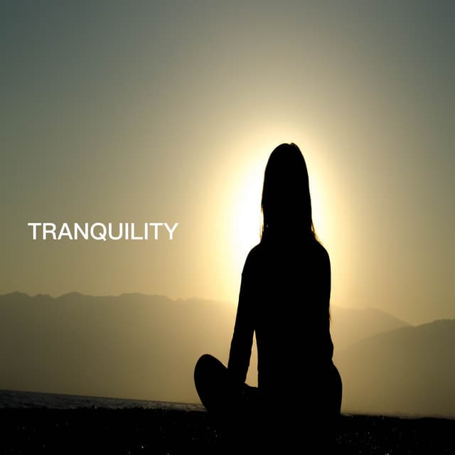 Tranquility - Sleep Sound Library