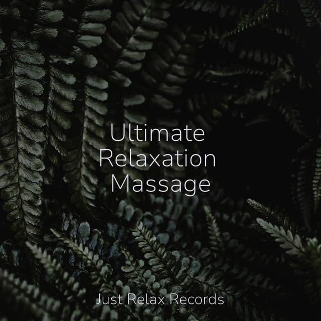 Ultimate Relaxation Massage - Thunderstorm Sound Bank