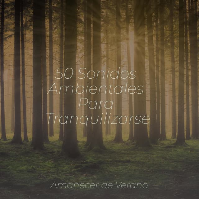 50 Sonidos Ambientales Para Tranquilizarse - kinderliedjes