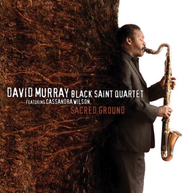 Sacred Ground - David Murray
