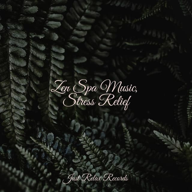 Zen Spa Music, Stress Relief - Meditation