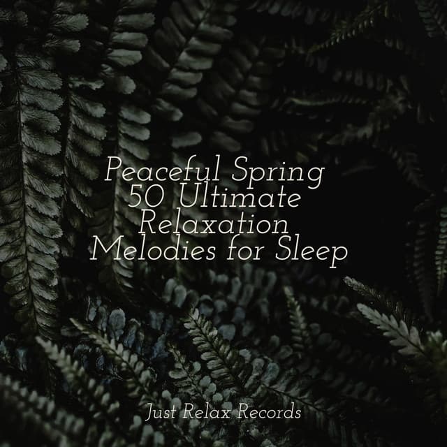 Peaceful Spring 50 Ultimate Relaxation Melodies for Sleep - Study Hard