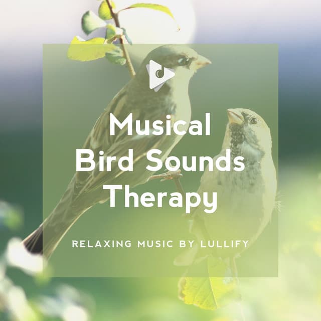 Musical Bird Sounds Therapy - Relaxing Music by Lullify