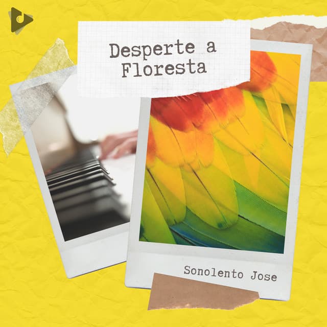 Desperte a Floresta - Sonolento Jose