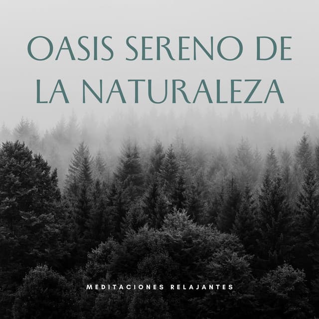 Oasis Sereno De La Naturaleza: Meditaciones Relajantes - Paz Nirvana
