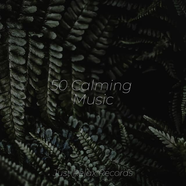 50 Calming Music - Relajación