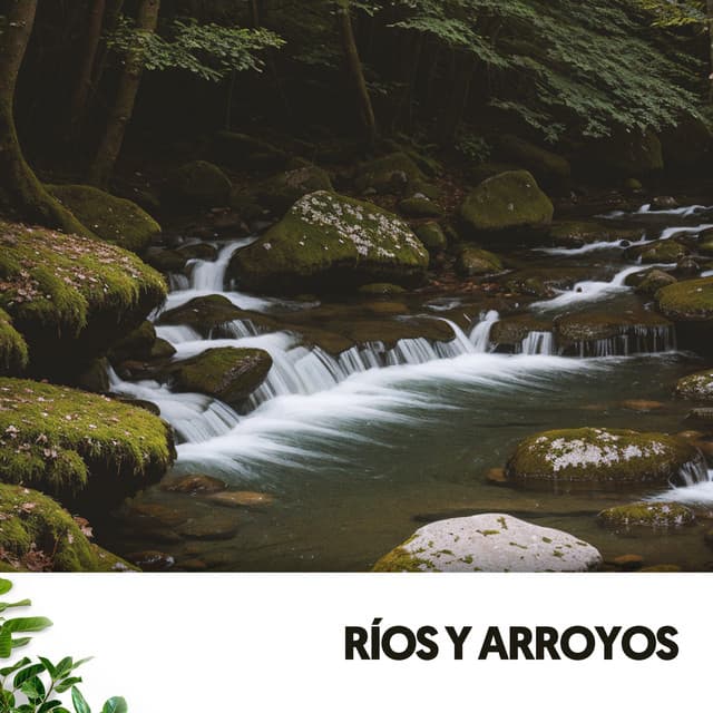 Ríos y Arroyos: Susurros de la Naturaleza - Música Relajante Para Leer