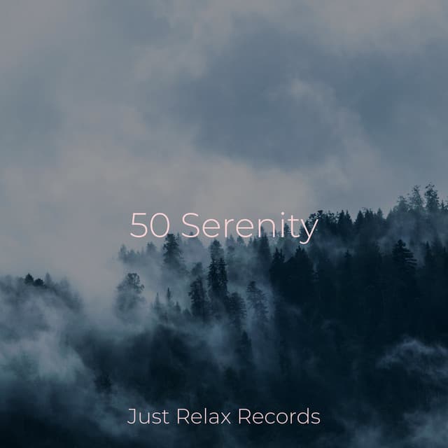 50 Serenity - Música Para Meditar y Relajarse
