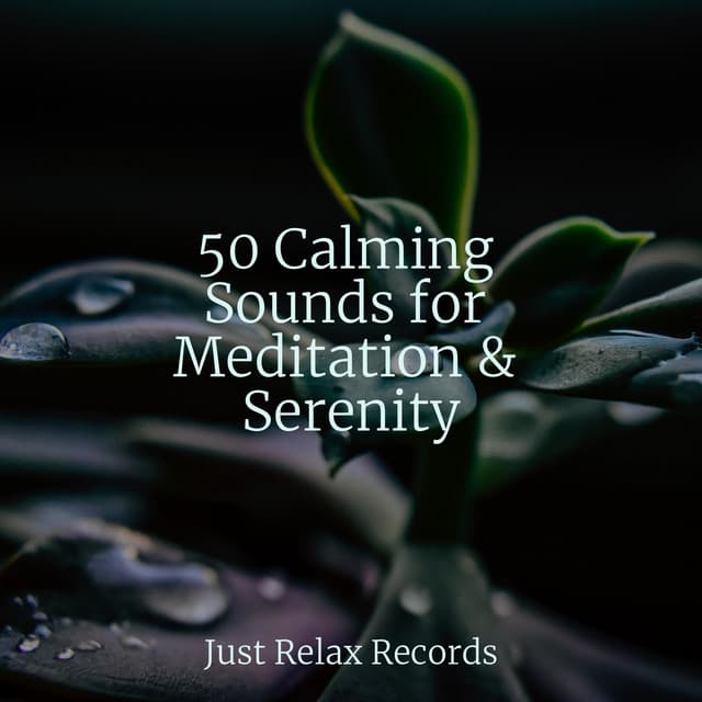 50 Calming Sounds for Meditation & Serenity - Soothing Sounds