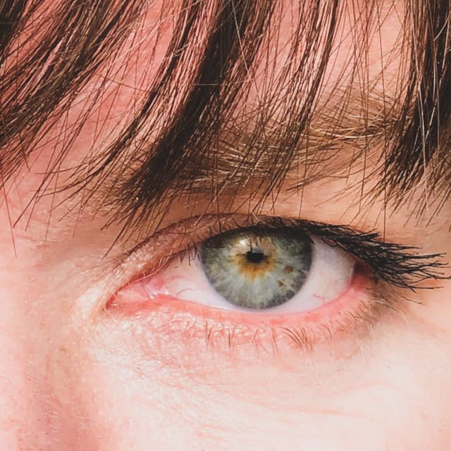 Sara Schoenbeck - Sara Schoenbeck