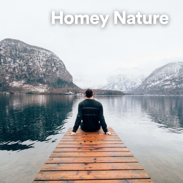 Homey Nature - Weather Sounds