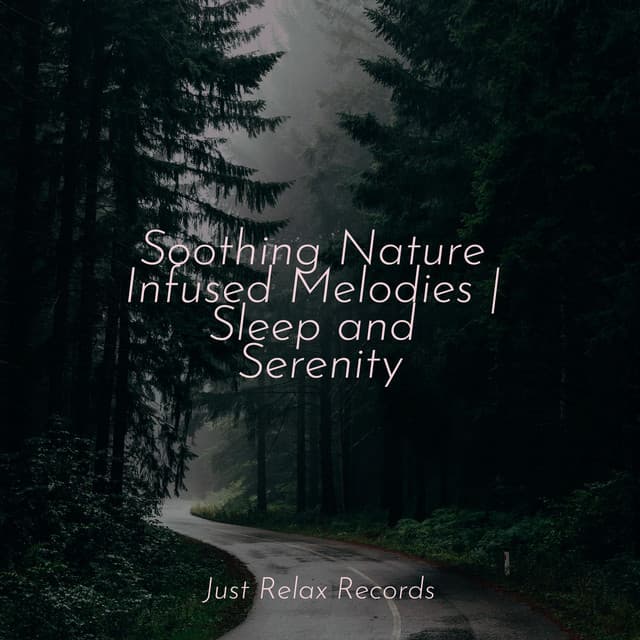 Soothing Nature Infused Melodies | Sleep and Serenity - Relajación