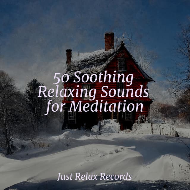 50 Soothing Relaxing Sounds for Meditation - Lucid Dreaming World-Collective Unconscious Mind