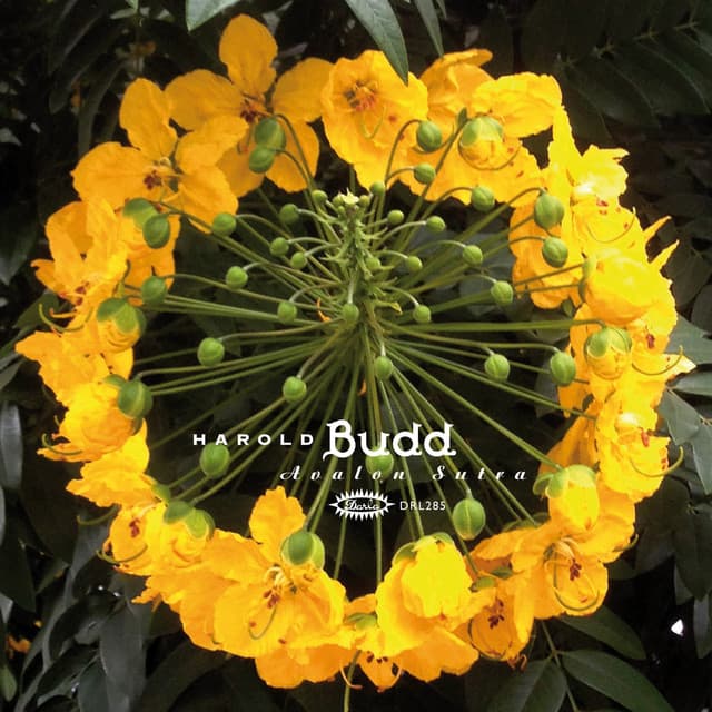 Avalon Sutra - Harold Budd