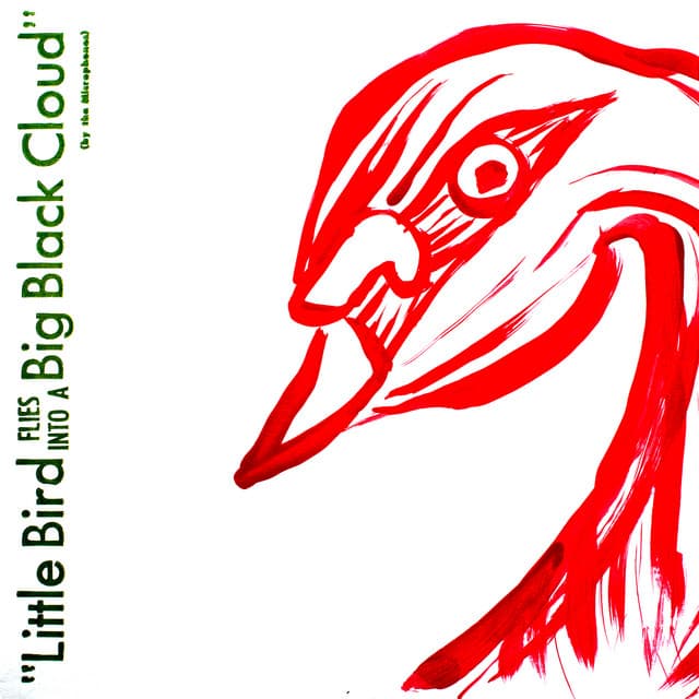 Little Bird Flies into a Big Black Cloud - The Microphones