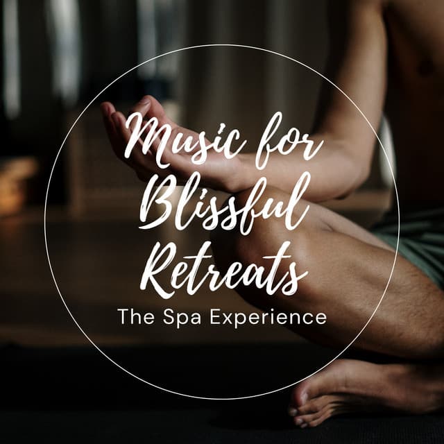 Music for Blissful Retreats: The Spa Experience - Stress Relief Helper