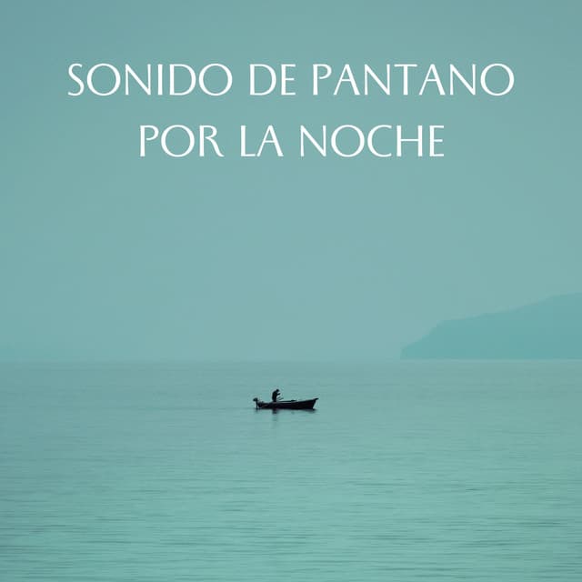Sonido De Pantano Por La Noche - Los durmientes de agua