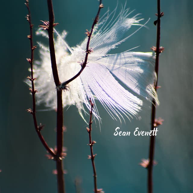 Shimmering Between Worlds - Sean Evenett