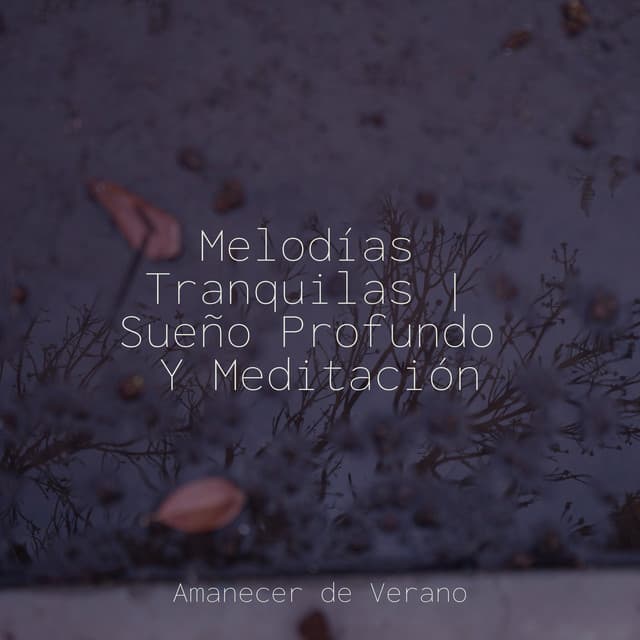 Melodías Tranquilas | Sueño Profundo Y Meditación - Musica Relajante & Yoga