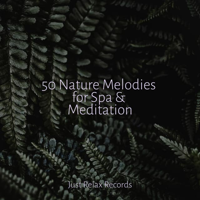 50 Nature Melodies for Spa & Meditation - Relaxamento