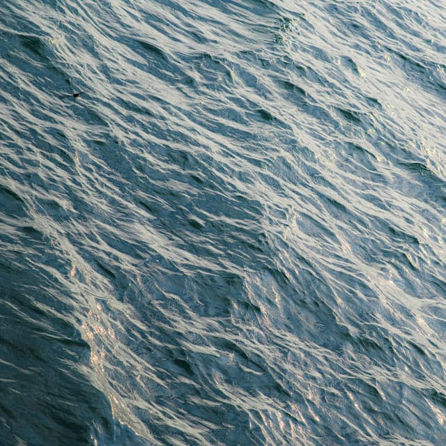 100 Wavelengths: Vital Bloom - Nature Sound Collection