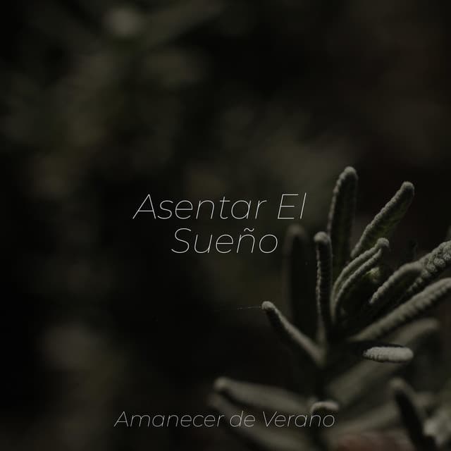 Asentar El Sueño - Sonidos de la Naturaleza Relajacion