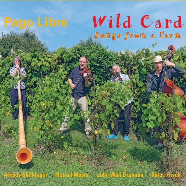 Wild Card - Pago Libre