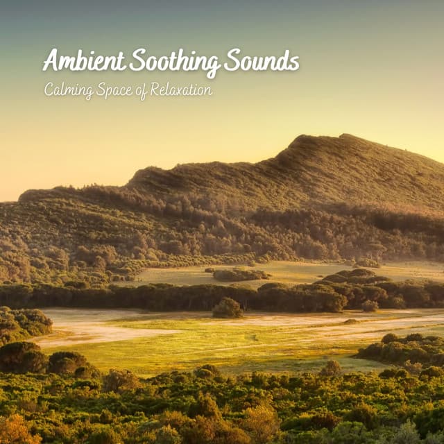 Ambient Soothing Sounds: Calming Space of Relaxation - Bakery Music