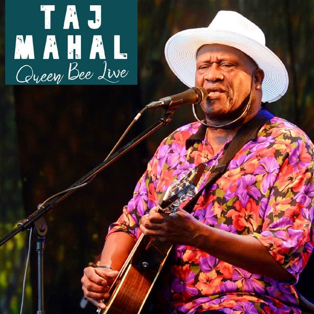 Queen Bee Live - Taj Mahal