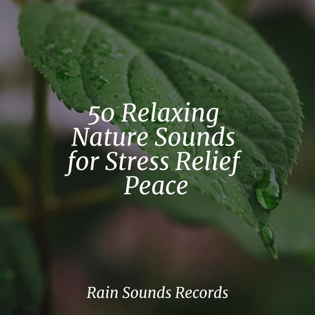 50 Relaxing Nature Sounds for Stress Relief Peace - Sonidos de la Naturaleza Relajacion