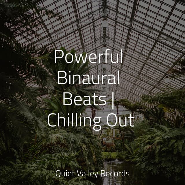 Powerful Binaural Beats | Chilling Out - Sleep Sounds