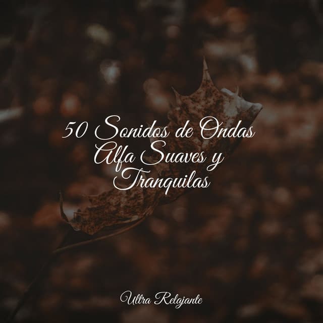 50 Sonidos de Ondas Alfa Suaves y Tranquilas - Canción de Cuna