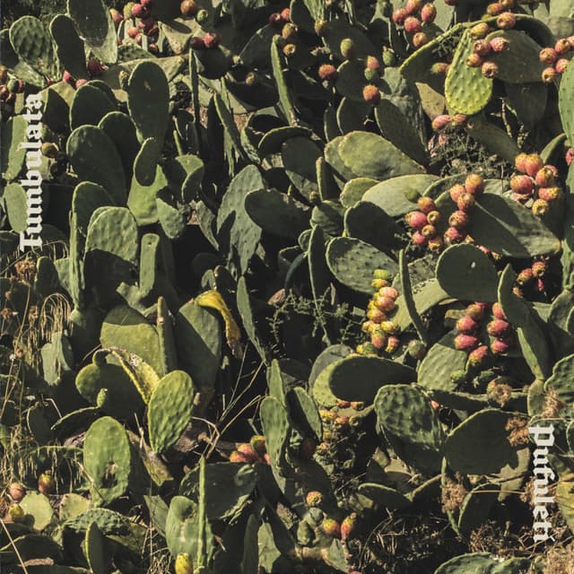 Tumbulata - Pufuleti