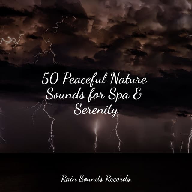 50 Peaceful Nature Sounds for Spa & Serenity - Cascada de Lluvia