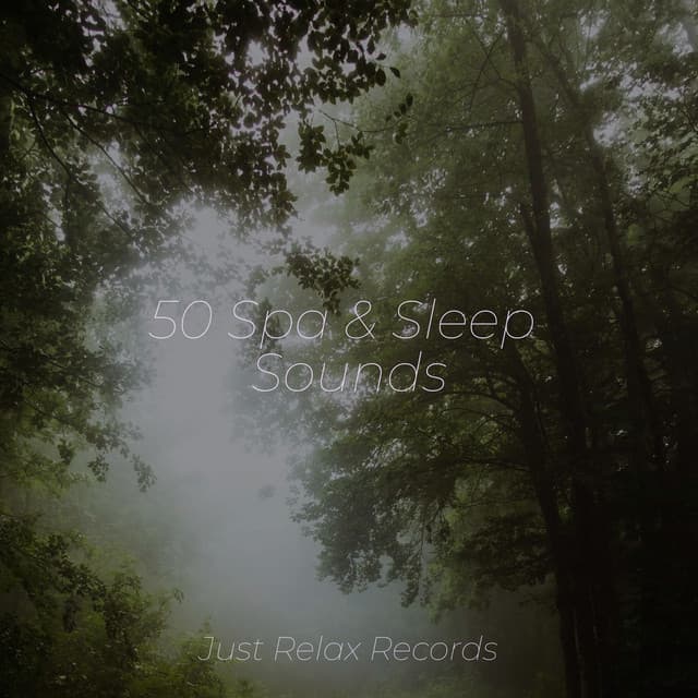 50 Spa & Sleep Sounds - Preschool Kids