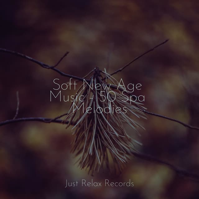 Soft New Age Music - 50 Spa Melodies - Relaxamento