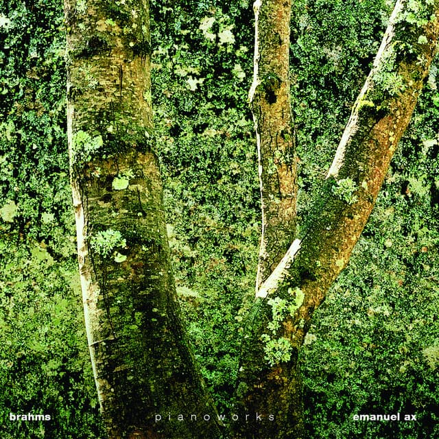 Pianoworks - Johannes Brahms