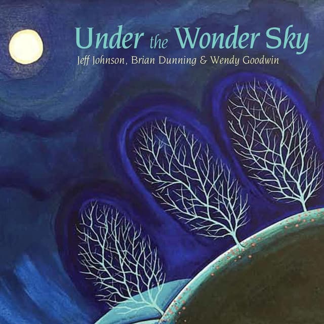 Under the Wonder Sky - Jeff Johnson