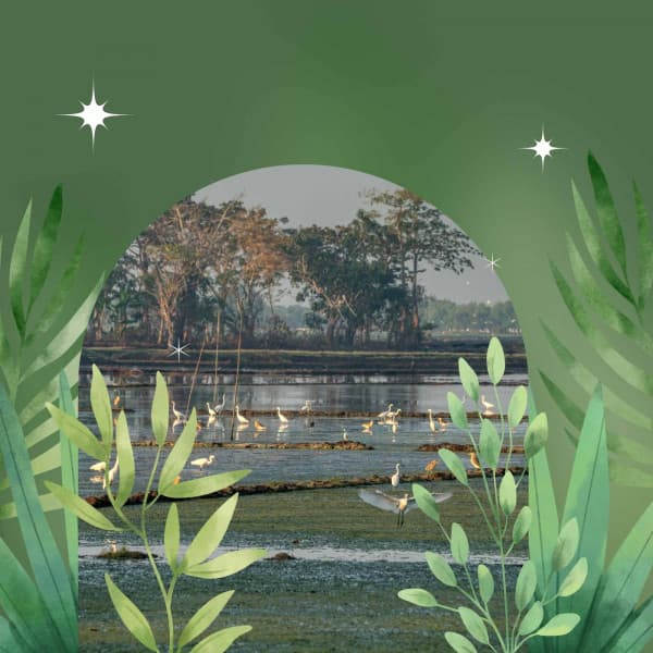 Peak Spa Therapy - Entertaining - Spa Music Playlist