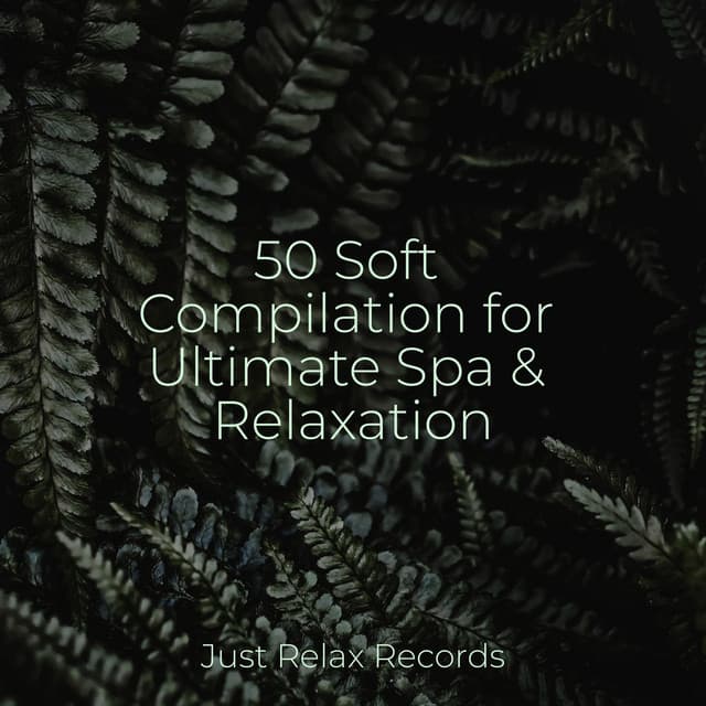 50 Soft Compilation for Ultimate Spa & Relaxation - Massage Therapy Music