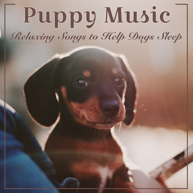 Puppy Music Dreams