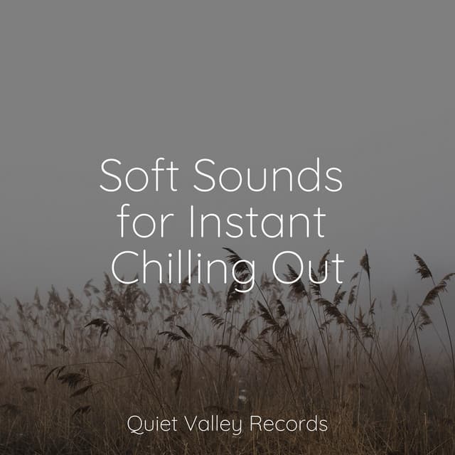Soft Sounds for Instant Chilling Out - Pro Sound Effects Library