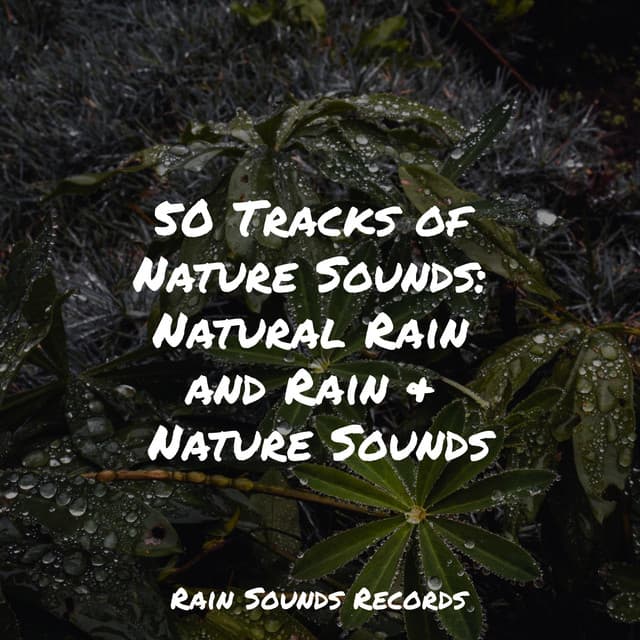 50 Tracks of Nature Sounds: Natural Rain and Rain & Nature Sounds - Meditation Rain Sounds